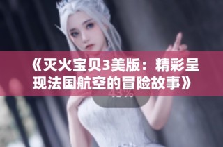 《灭火宝贝3美版：精彩呈现法国航空的冒险故事》