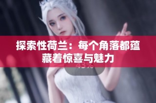 探索性荷兰：每个角落都蕴藏着惊喜与魅力