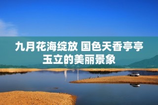 九月花海绽放 国色天香亭亭玉立的美丽景象