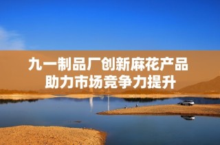九一制品厂创新麻花产品 助力市场竞争力提升