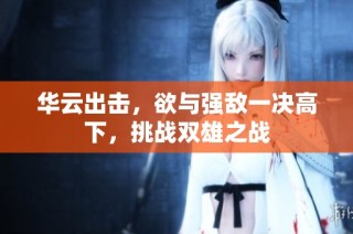华云出击，欲与强敌一决高下，挑战双雄之战