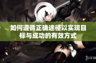 如何遵循正确途径以实现目标与成功的有效方式
