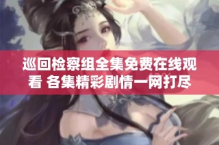 巡回检察组全集免费在线观看 各集精彩剧情一网打尽
