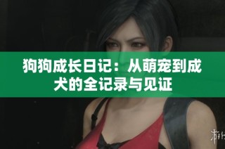 狗狗成长日记：从萌宠到成犬的全记录与见证