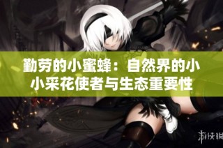 勤劳的小蜜蜂：自然界的小小采花使者与生态重要性