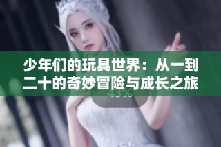 少年们的玩具世界：从一到二十的奇妙冒险与成长之旅