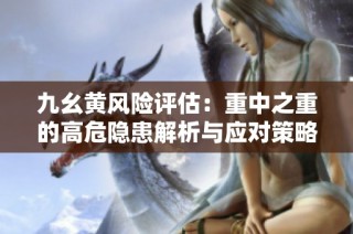 九幺黄风险评估：重中之重的高危隐患解析与应对策略