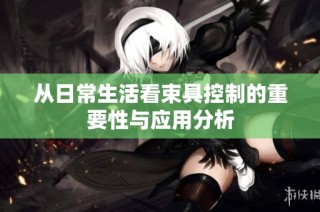 从日常生活看束具控制的重要性与应用分析