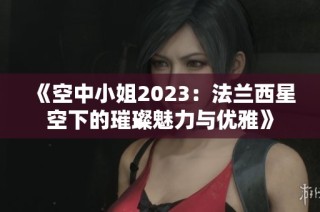 《空中小姐2023：法兰西星空下的璀璨魅力与优雅》