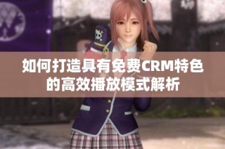 如何打造具有免费CRM特色的高效播放模式解析