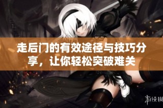 走后门的有效途径与技巧分享，让你轻松突破难关
