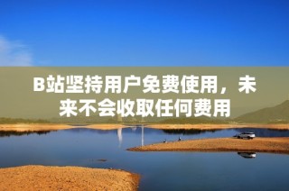 B站坚持用户免费使用，未来不会收取任何费用