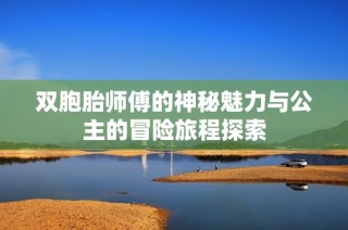 双胞胎师傅的神秘魅力与公主的冒险旅程探索