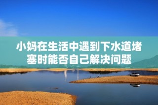 小妈在生活中遇到下水道堵塞时能否自己解决问题