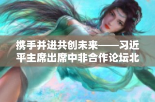 携手并进共创未来——习近平主席出席中非合作论坛北京峰会纪实