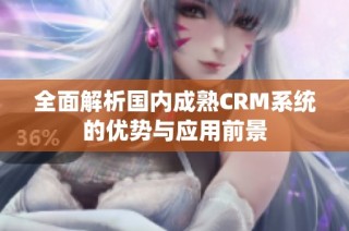 全面解析国内成熟CRM系统的优势与应用前景