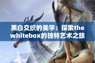 黑白交织的美学：探索thewhitebox的独特艺术之旅