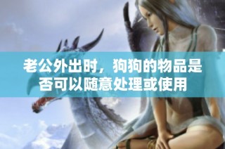 老公外出时，狗狗的物品是否可以随意处理或使用