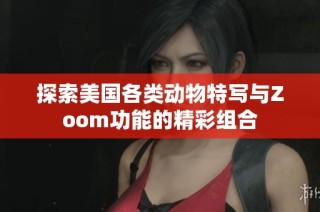 探索美国各类动物特写与Zoom功能的精彩组合