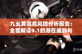 九幺黄高危风险分析报告：全面解读9.1的潜在威胁与影响