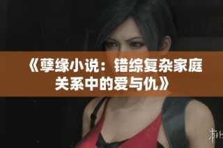 《孽缘小说：错综复杂家庭关系中的爱与仇》