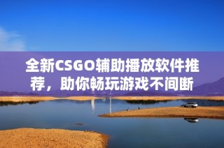 全新CSGO辅助播放软件推荐，助你畅玩游戏不间断