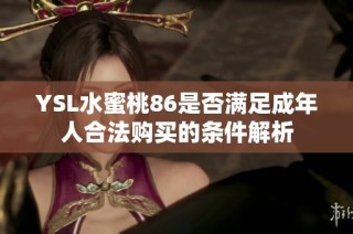 YSL水蜜桃86是否满足成年人合法购买的条件解析