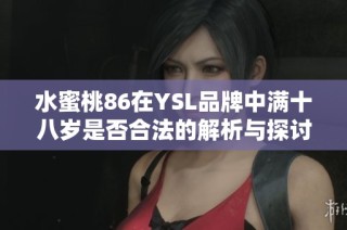 水蜜桃86在YSL品牌中满十八岁是否合法的解析与探讨