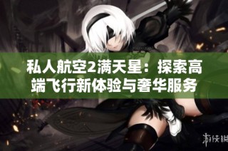 私人航空2满天星：探索高端飞行新体验与奢华服务