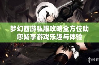 梦幻西游私服攻略全方位助您畅享游戏乐趣与体验