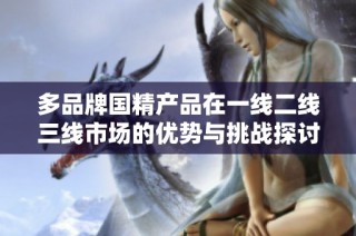 多品牌国精产品在一线二线三线市场的优势与挑战探讨