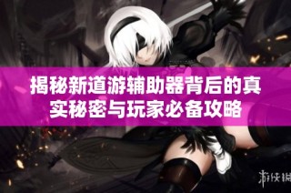 揭秘新道游辅助器背后的真实秘密与玩家必备攻略