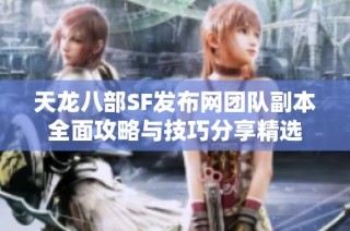 天龙八部SF发布网团队副本全面攻略与技巧分享精选