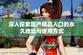 深入探索国产精品入口的永久地址与使用方式