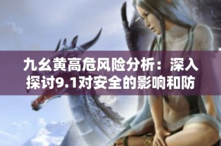 九幺黄高危风险分析：深入探讨9.1对安全的影响和防范措施