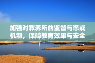 加强对教养所的监督与惩戒机制，保障教育效果与安全