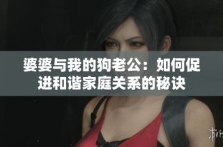 婆婆与我的狗老公：如何促进和谐家庭关系的秘诀