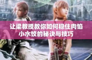 让梁教授教你如何稳住肉馅小水饺的秘诀与技巧