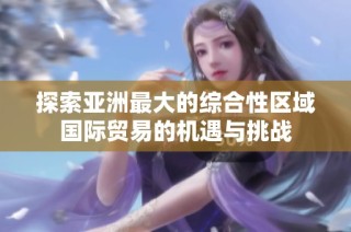 探索亚洲最大的综合性区域国际贸易的机遇与挑战