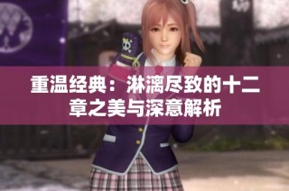 重温经典：淋漓尽致的十二章之美与深意解析