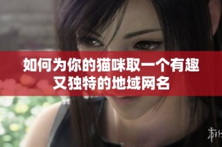 如何为你的猫咪取一个有趣又独特的地域网名