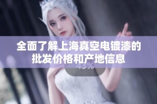 全面了解上海真空电镀漆的批发价格和产地信息