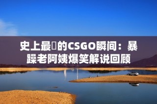 史上最囧的CSGO瞬间：暴躁老阿姨爆笑解说回顾