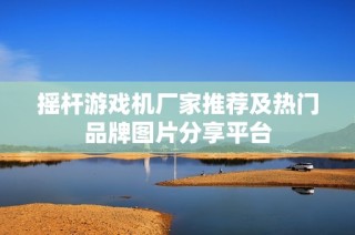 摇杆游戏机厂家推荐及热门品牌图片分享平台