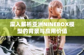 深入解析亚洲NINEBOX模型的背景与应用价值