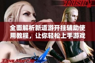 全面解析新道游开挂辅助使用教程，让你轻松上手游戏技巧