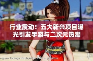 行业震动！五大新兴项目曝光引发手游与二次元热潮