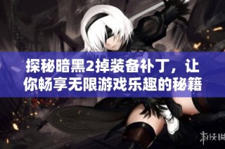 探秘暗黑2掉装备补丁，让你畅享无限游戏乐趣的秘籍