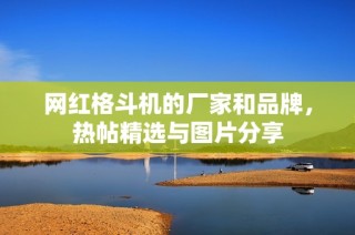 网红格斗机的厂家和品牌，热帖精选与图片分享