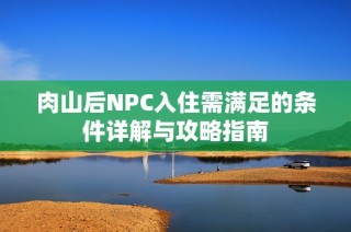 肉山后NPC入住需满足的条件详解与攻略指南
